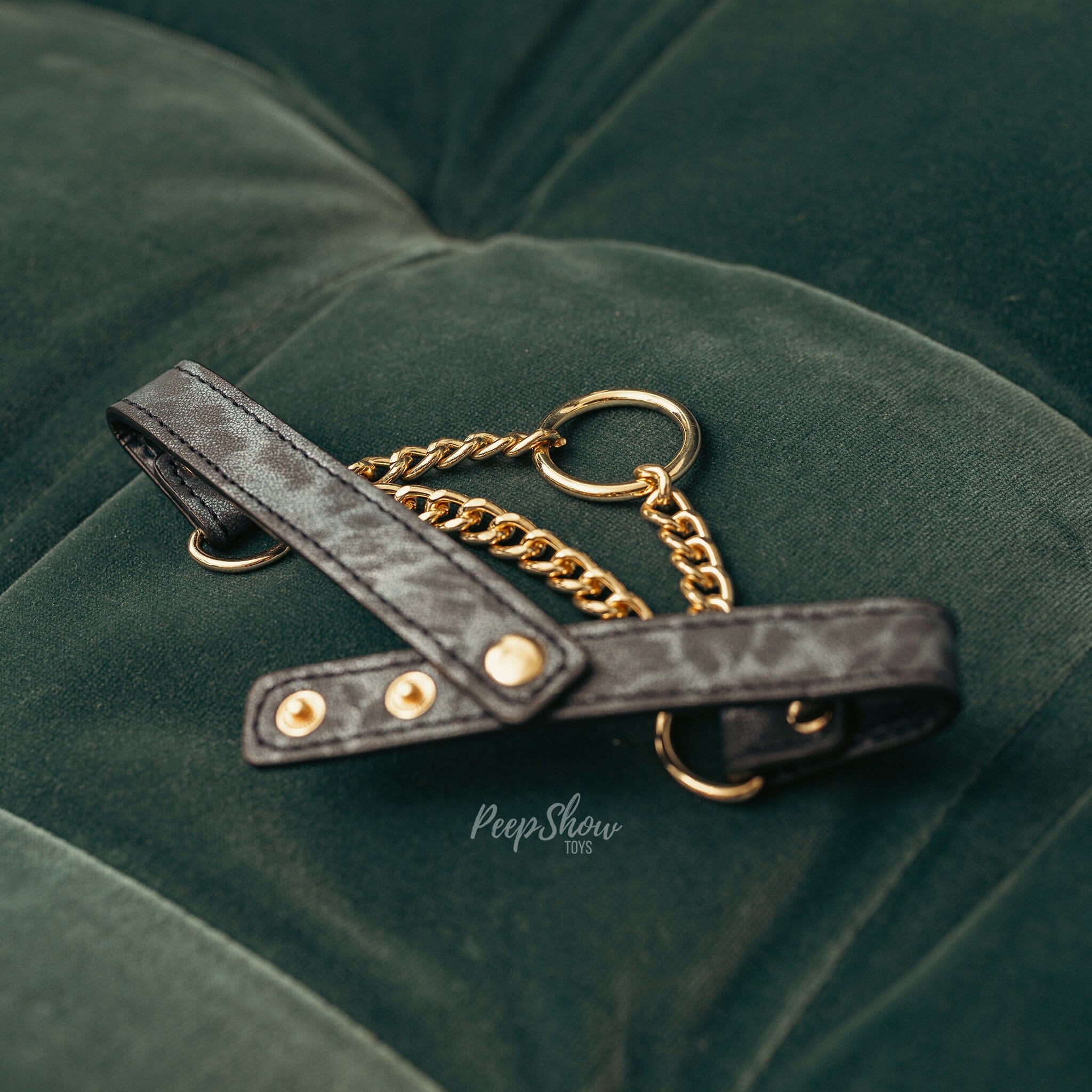 Cougar Day Collar BDSM Necklace