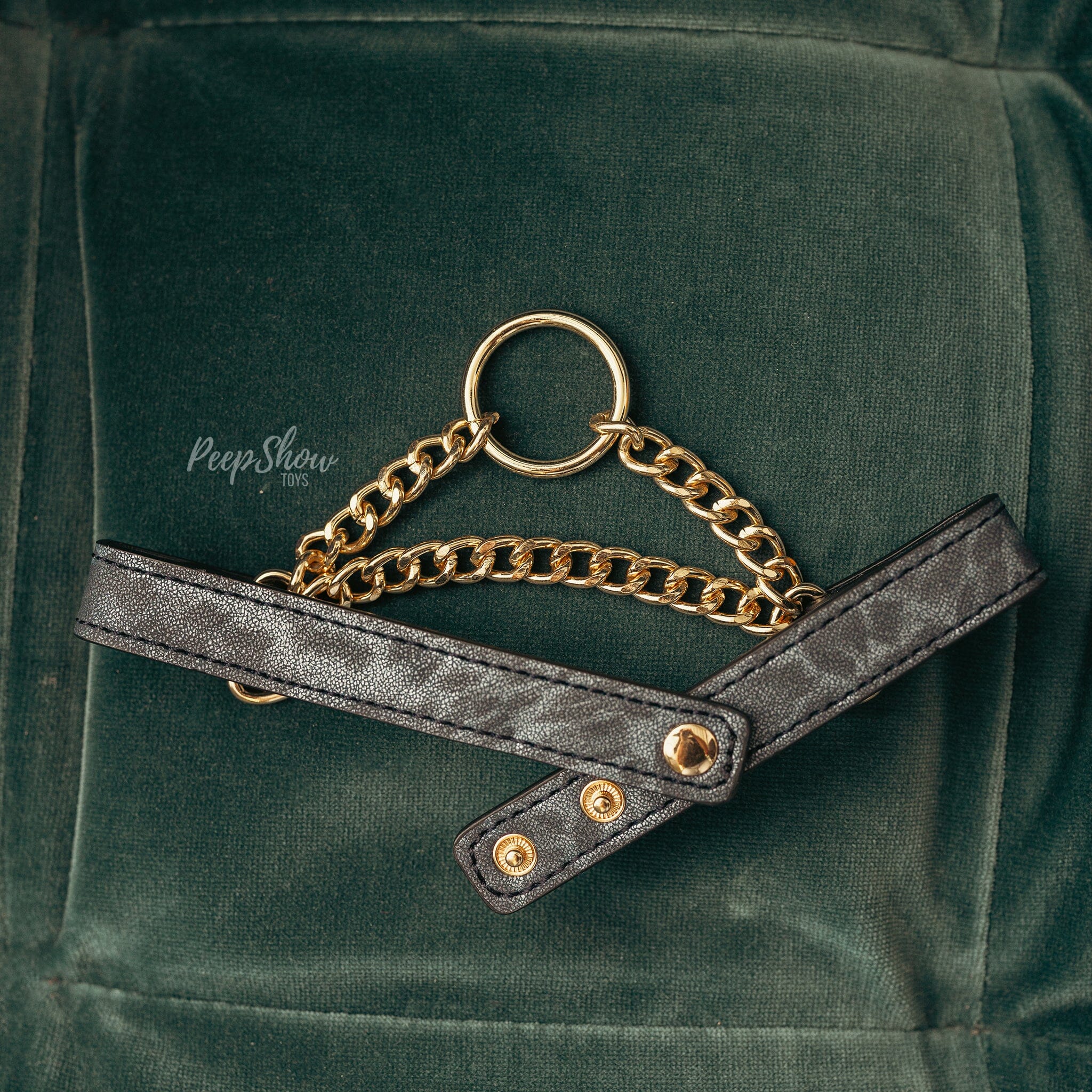 Cougar Day Collar BDSM Necklace - Image 2