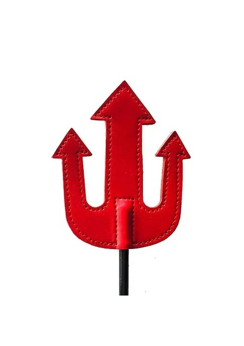 Devil's Leather Crop - Image 5