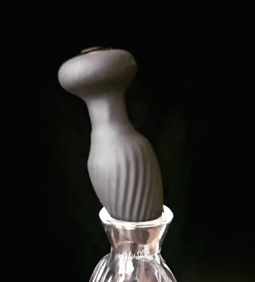 360° Rotating Butt Plug with Remote