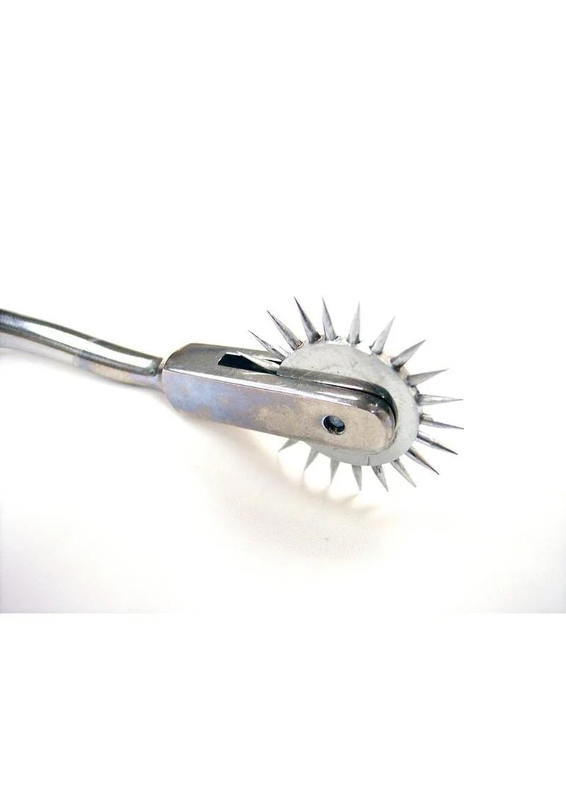 Rouge Stainless Steel Pinwheel - Image 5