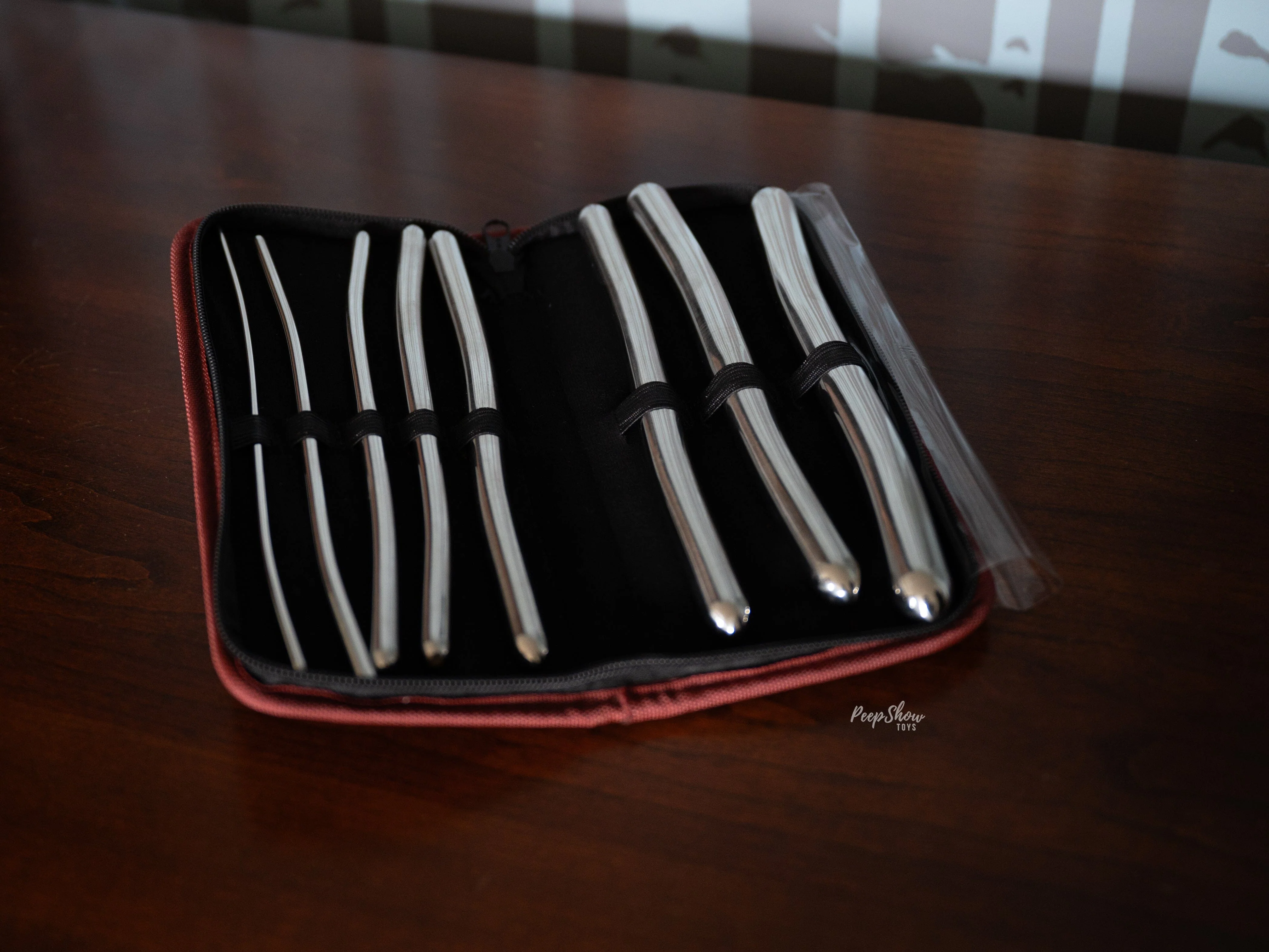 Stainless Steel Hegar Dilator - 8-Pack Urethral Sounds with Storage Case - Image 2